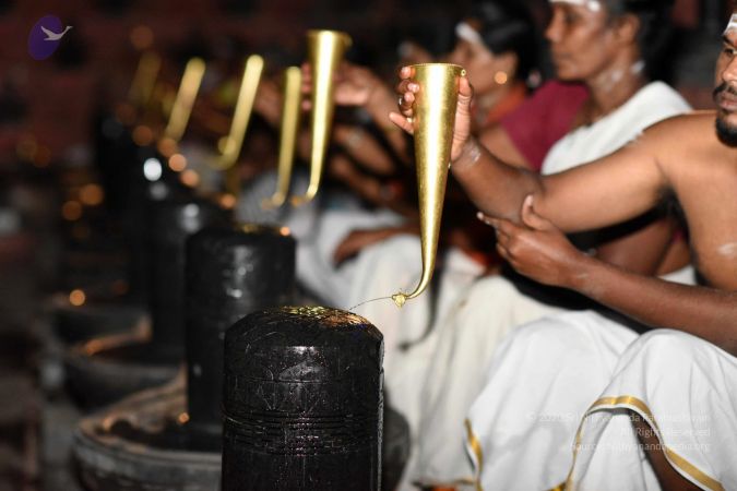 20161114 Photo 1016 1VDR4jWcNeXnpgDNwrMJg1DB-YgYF8e1o.JPG