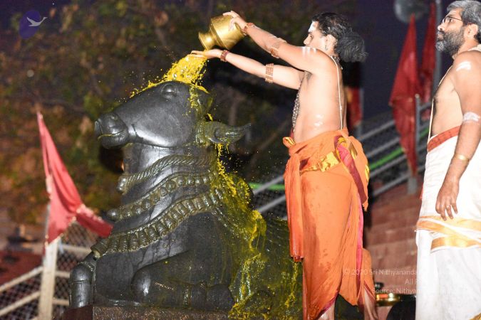 20161114 Photo 1021 18Rw5RfK8hEBLhF86NA-RzHN2Yx8k5ujI.JPG