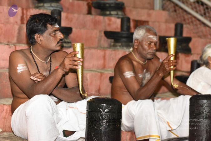 20161114 Photo 1027 1KkmuvwN4CFQJCM2ocTaGhrRZB49ieF6h.JPG