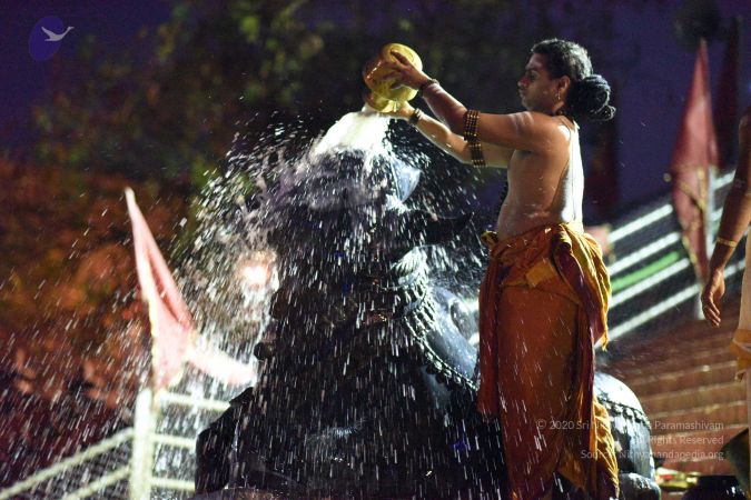 20161114 Photo 1037 1BK8yF4ZiypTGr2Y8SuPu6O7Jv2tfYoI7.JPG