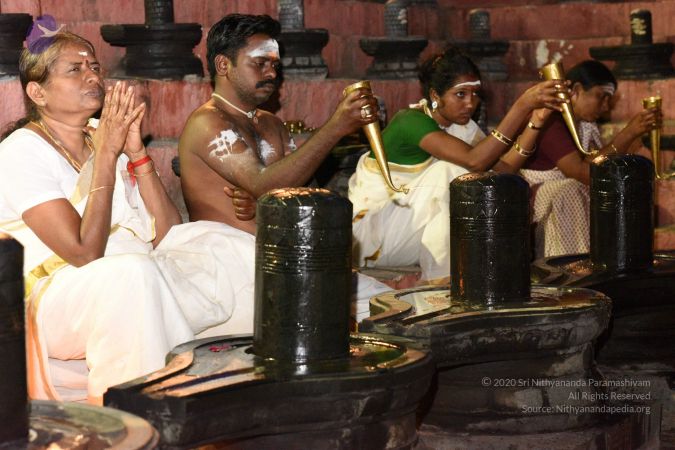 20161114 Photo 1040 1tVwxKT5aEEss2fKZNdXG-P9Isw5giMcD.JPG