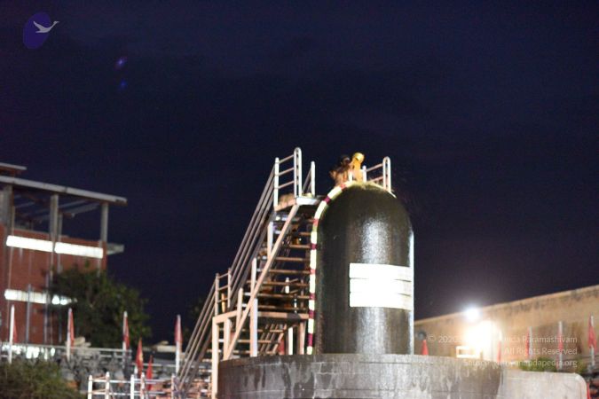 20161114 Photo 1048 1mFl0z4j67iYMJAOqfjoqxRzisycrUj4M.JPG