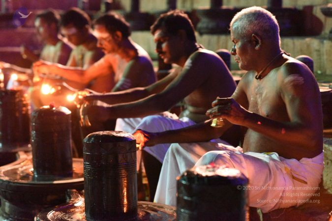 20161114 Photo 1066 1Nd7cXJqlUklM5Y31skne2SItGSdfNzv5.JPG