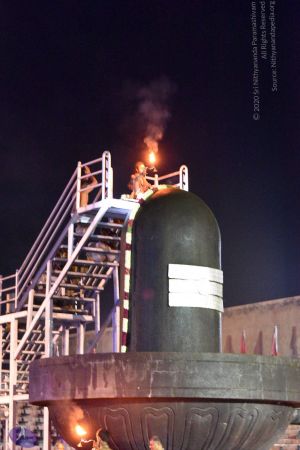 20161114 Photo 1068 181hg7jpfCyoGMv-UBmsGzITOid2PwPih.JPG