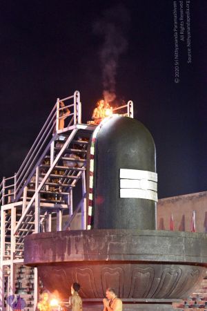 20161114 Photo 1069 17MQWxoYsRO01qJwRFcLCWmK99PeOsgij.JPG