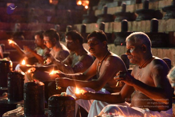 20161114 Photo 1079 19y-TsZwcevEG83dyw-Y171GCUVYmqL1 .JPG