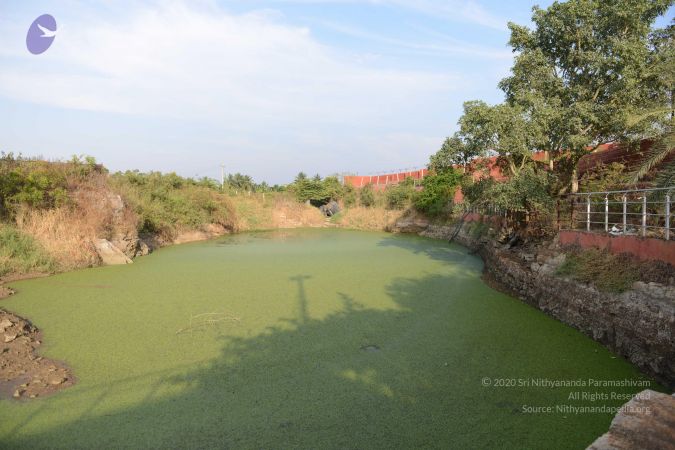 20161119 Photo 1105 16ooJbDrHggceUk6KpZQk52oACQtohyOG.JPG