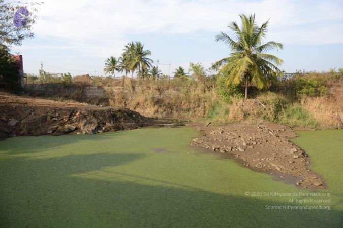 20161119 Photo 1106 1smYBc6D8mb3cpn 6Hu dq7LlXZ8-yA0n.JPG