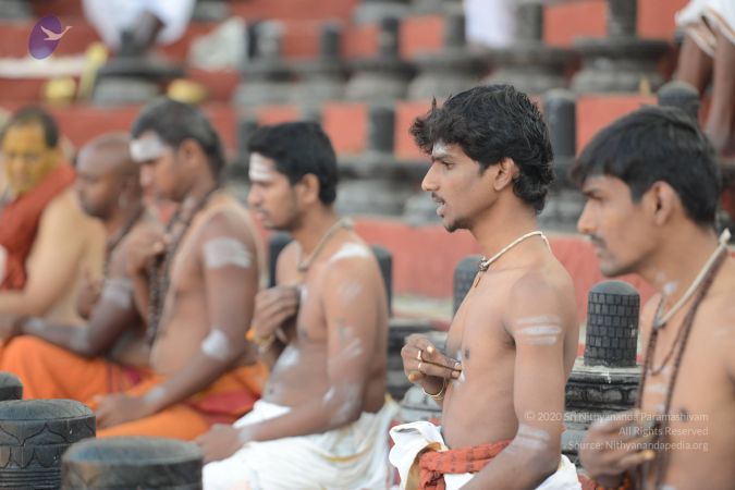 20161122 Photo 1027 1cv0er7Wx57VeQM3pumJdrQ2ZPRNWErx3.JPG