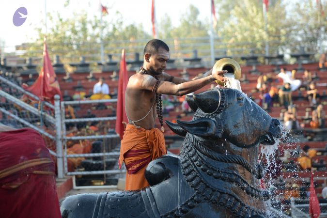 20161122 Photo 1031 17L642BrcvFd0Kmvtz42Z26PbYGXnDH2w.JPG