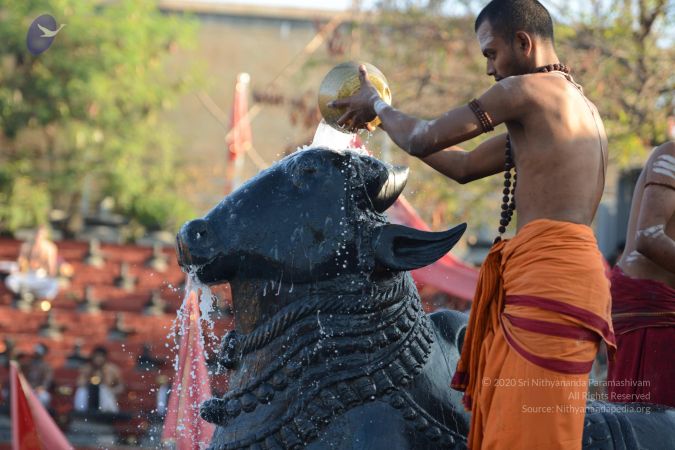 20161122 Photo 1038 1vwGzobyh1mjW8CDGr7-IChvQ2U5OwY7Z.JPG