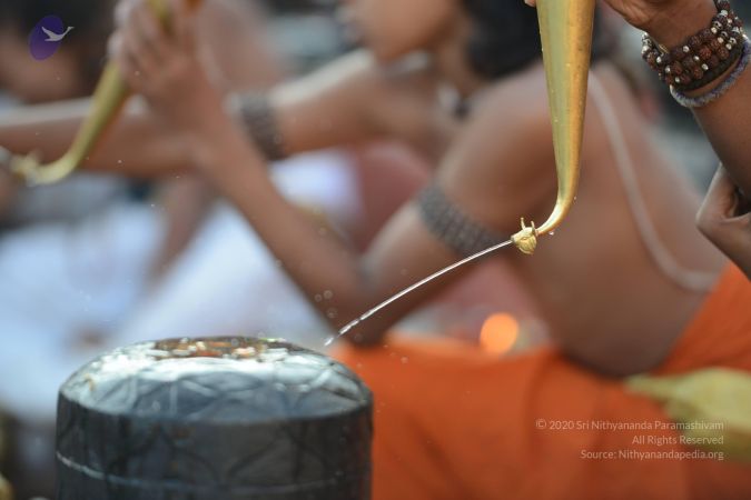 20161122 Photo 1044 1D7HGkOO4vOPx7daLyoNMEkhZy92RYFEu.JPG