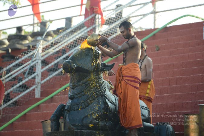 20161122 Photo 1047 1Ceqas3z8IpUiLslocHj9XgP0ZNoYRg3D.JPG