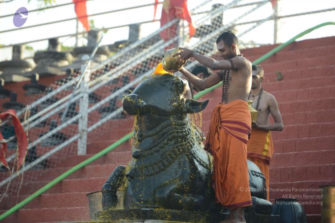 20161122 Photo 1048 1ThKuFx1JIdaPzgnF-6SwR4E5Qde2Q6I .JPG