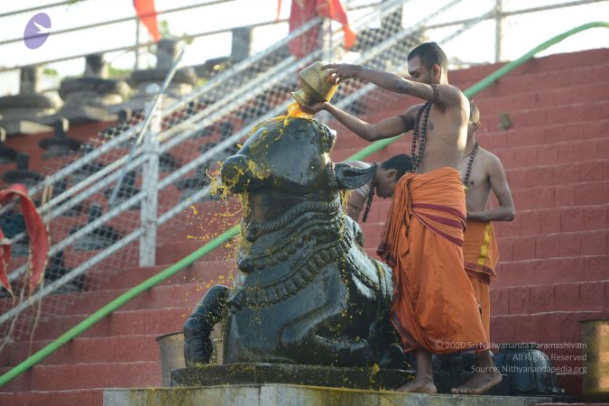 20161122 Photo 1049 1H6JJYxEOntojwMV5kPJpl5jVuGl7c08g.JPG