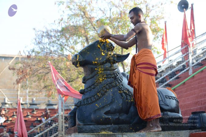 20161122 Photo 1050 19Ip3GhefhJGY5JZ5S- D1nDPD9XeTIWh.JPG