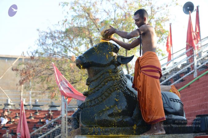 20161122 Photo 1053 1BA5KyBDm5Me6GWueHpn3gtTSASYcZAfZ.JPG