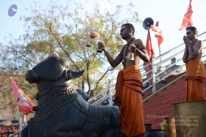 20161122 Photo 1071 1RFOZh6lhE8W7Yk3X3WGQNO8YKxZNmSmQ.JPG