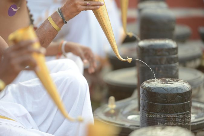 20161124 Photo 1031 1W4VHG33S463CiqxoNTph0WCatfoSnCdm.JPG