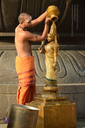 20161124 Photo 1033 1WcOX2b1J1U7ro4LsJa9yc2ezGqXL4Axq.JPG