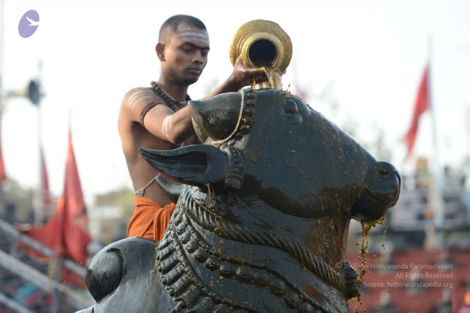 20161124 Photo 1041 17KAUo8biiY79FkgbnuY8VTQ9RDDTpVcK.JPG