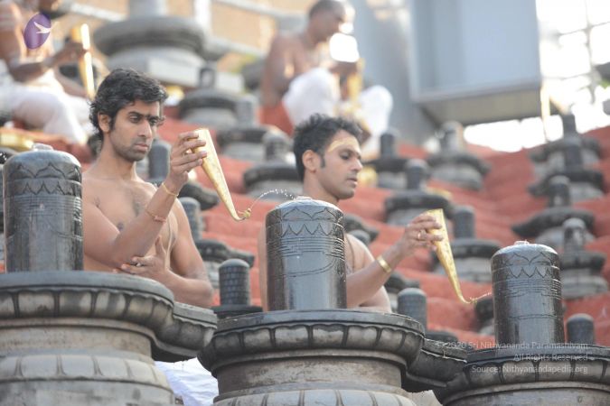 20161126 Photo 1037 1hlfgzfEX1UwLveHPtqFJbpwfQzbp8V85.JPG