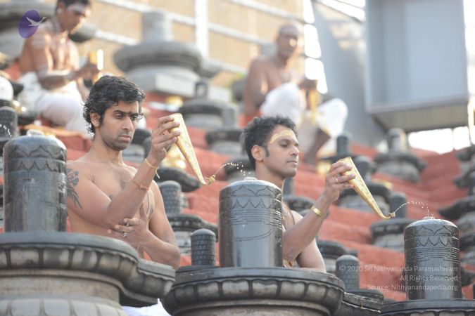 20161126 Photo 1038 1InlK4m7X8qPF9XXqtFXN3vS7qzX1hy6j.JPG