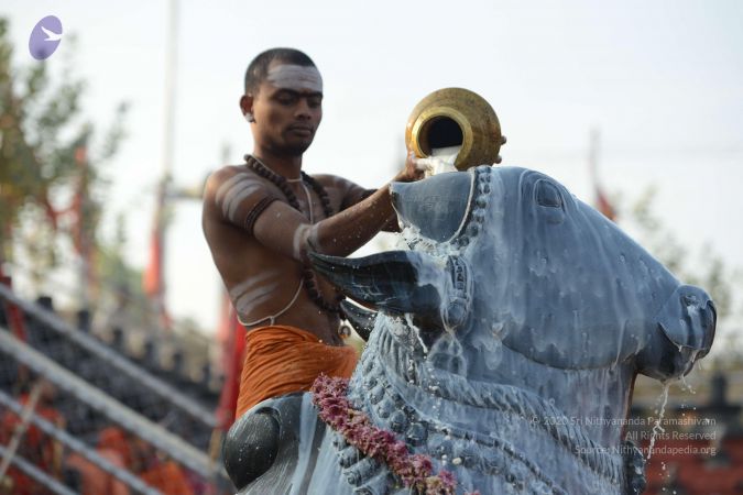 20161126 Photo 1044 1sjR 5371BnNXyeUki1lh5CLezL9Cr9wF.JPG