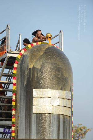 20161126 Photo 1050 1gHtx3-W59BAoEo8pqmprKYAMxeJzEz9Z.JPG