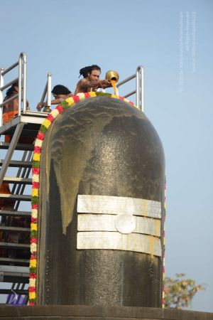 20161126 Photo 1052 1SQ2aR1JcSBWZIKzQ4RbJLb QvOEdJofU.JPG