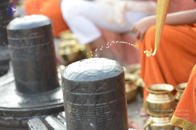 20161126 Photo 1055 1iwM-iLmxp80JBTWfHh3Gmv4gWWPrQ2wd.JPG