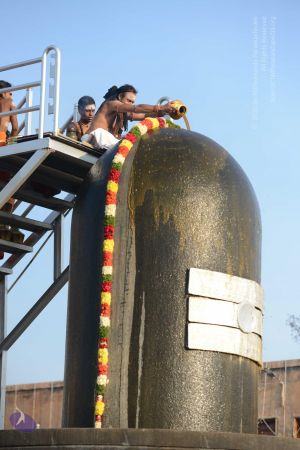 20161127 Photo 1034 1hRZmVUvdC6Fohk9SpjfCNy6KhwXMK2i1.JPG