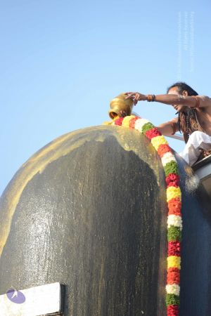 20161127 Photo 1090 1GSgxd5zcKMXNlgSzHJEUagSFpeL1N7Yn.JPG