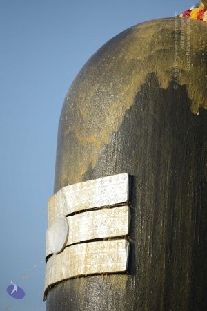 20161127 Photo 1091 1IaDOmP7yrWlMKv98AzJlShzwy-cT-pGe.JPG