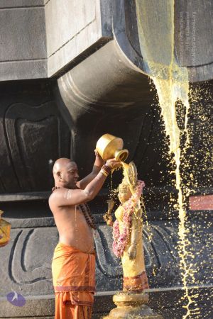 20161127 Photo 1094 1Z 6dEHK6pZipfZADsAvM 5yq-pp2v03r.JPG