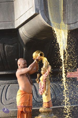 20161127 Photo 1096 1SfSoZyzZhAPN7VN4I4cLc04ANa9VGV6-.JPG