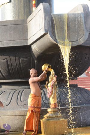 20161127 Photo 1097 1F5UnD-lk0BhQW948uF xh2vR6yOKs3WH.JPG