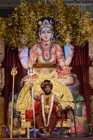 20161127 Photo 1229 1230c2ya9m8r22SuV2Luo6Y6K3jPXJTq .JPG