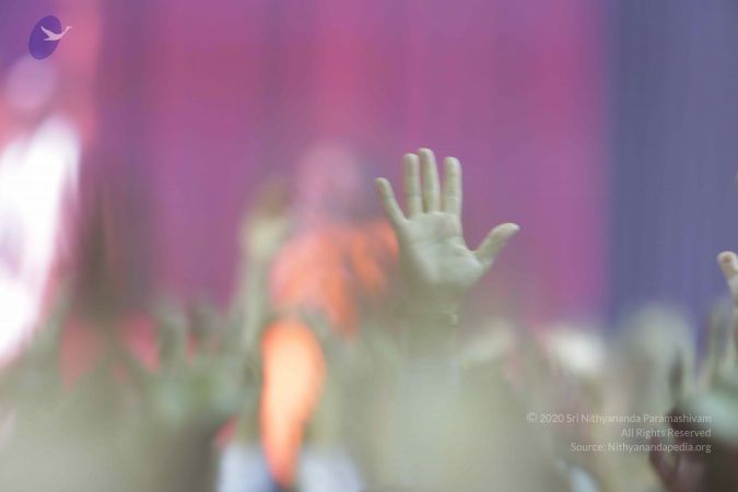 20161201 Photo 1747 1zzGLT4XAw69N-ToJfuM2ls3VEVwLUIaW.JPG