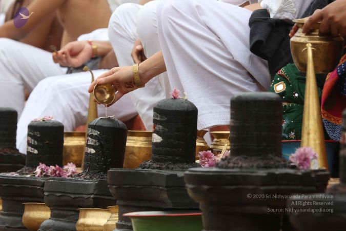 20161202 Photo 1027 1cUSsDYF4uUb8Jqc-Ycb3FQsZtQpzr21z.JPG