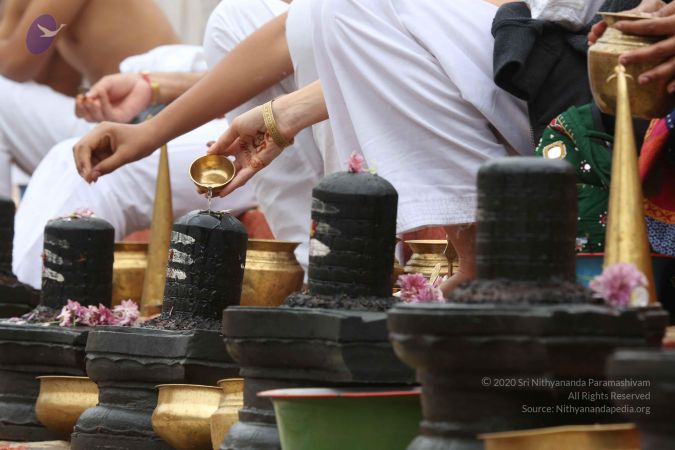 20161202 Photo 1028 12tcO2 7k4LG0jb0RSitd0DFEqAauomtQ.JPG