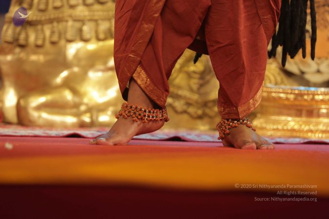 20161202 Photo 1441 1UkCEAl1i3MHpwMA-8PqCwGcU29EAseUF.JPG