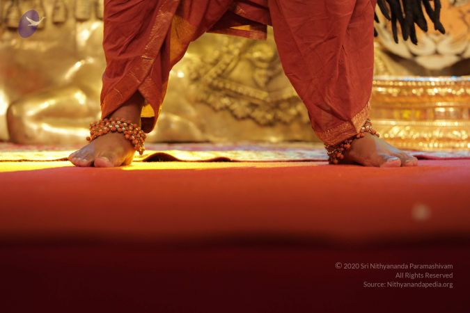 20161202 Photo 1454 1CmorlyGQU1wpplrS jcYgrCZyCnSYMg-.JPG