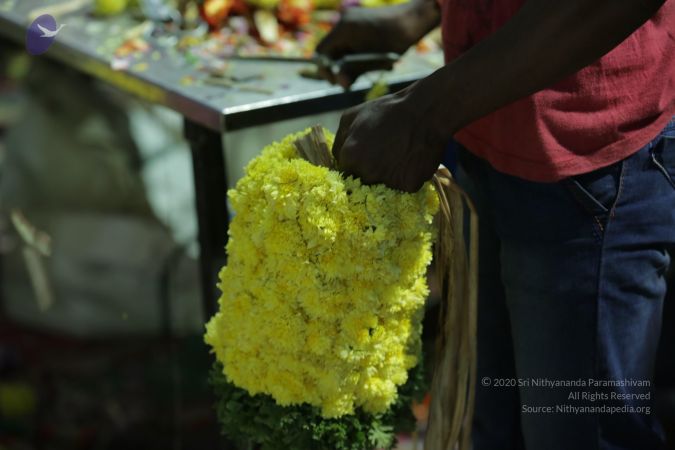 20161202 Photo 2110 1yxd0Uu1ZYpPk-iBHcYpHFvKM6kBUZDsW.JPG