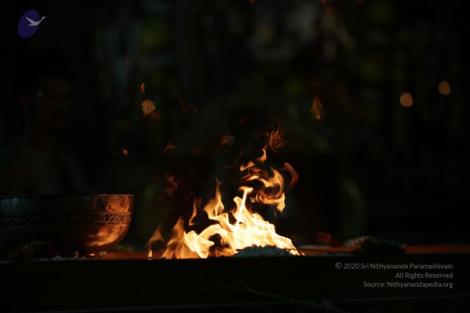 20161202 Photo 2137 1W9g3TbMEBclDzysrdZzc3aoXXM8pRVk2.JPG