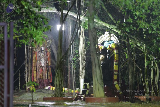 20161202 Photo 2145 14s9uY2QOZ0Hznnz4lYfXCvzSu3O8zNjN.JPG