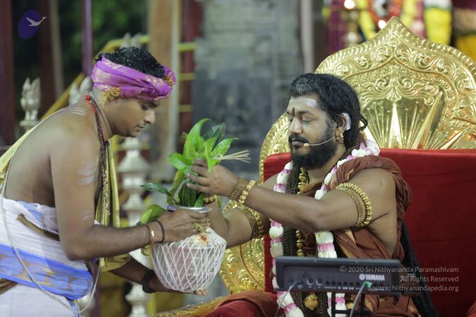 20161202 Photo 2273 1Dmi3MRhpOgyxlHYoqyZnV7sssYXc4TFu.JPG