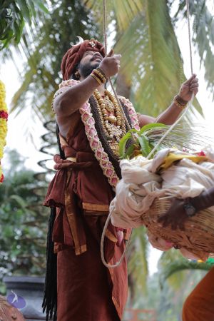 20161203 Photo 1014 1R2W2yrkmgFB1TGRoC2uNx GOvD5iN4lC.JPG