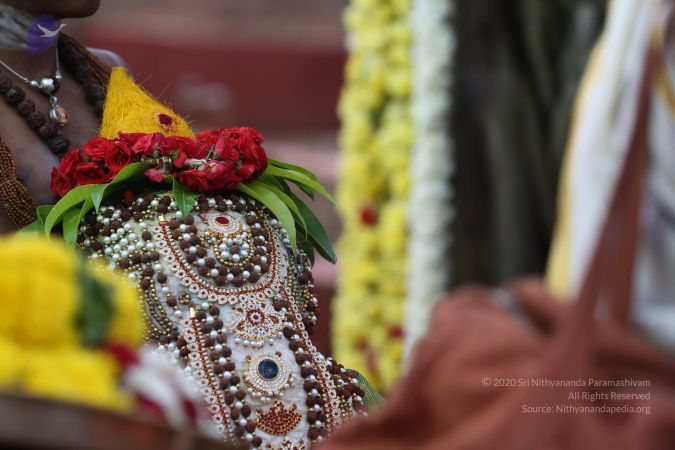 20161203 Photo 1014 1xhlJ3-waZlSt9d3ggc9XrAs4KvHGY-yc.JPG