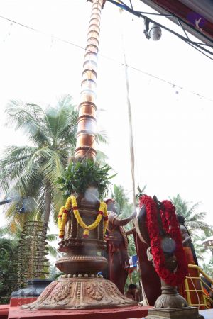 20161203 Photo 1070 1eBIfrMHf9iKRrqYfwvBpNCtuY0gESRl-.JPG